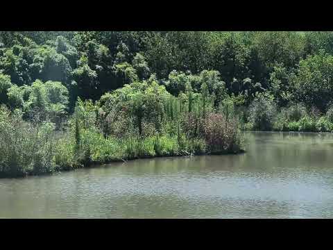 Laguna en el Ecoparque de San Fernando, Buenos Aires, Argentina