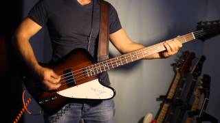 Kings Of Leon - The Immortals (Gibson Thunderbird)