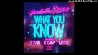 Trendsetter Sense Ft. T-Pain, K Camp & Migos - What You Know (Remix) (NEW SONG 2014)