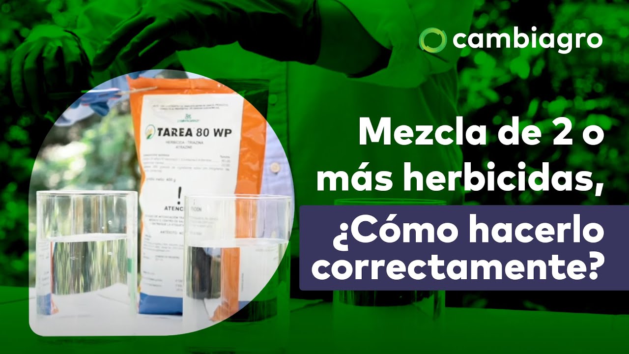 Mezcla de 2 o más herbicidas, ¿Cómo hacerlo correctamente