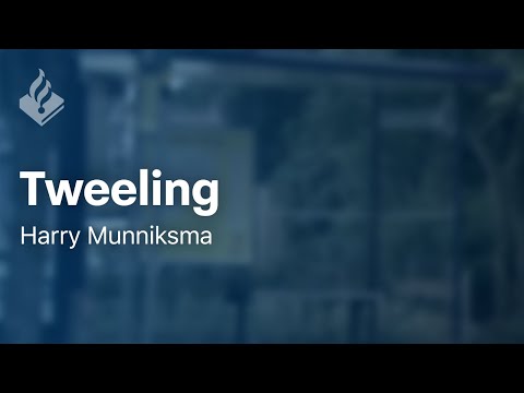 'Tweeling' - door Harry Munniksma - Politieverhaal in beeld