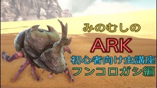 Ark フンコロガシ