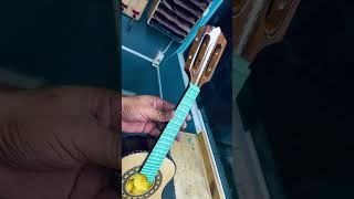 Cavaco jacarandá Baiano polimento