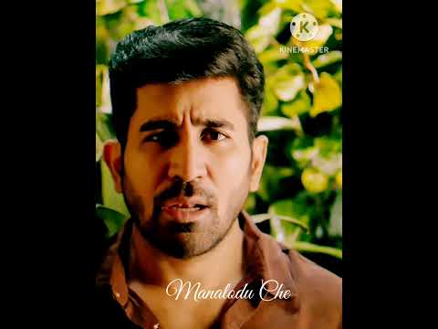 Chellakili | Music video | Romeo | Vijay Antony | Barath Dhanasekar | #shorts #trending  #chellakili
