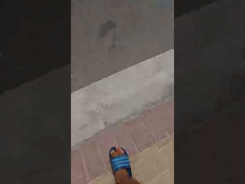 Eliana's school bus 🚌 small bus arriving at home 16