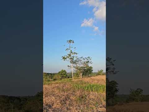 #Ixcan #zona7ixcan #playagrande #quiche