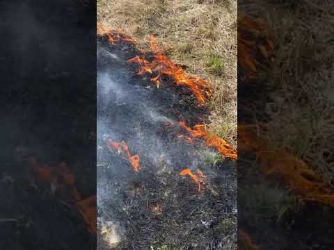 Kulotus - Pelto - Vanhat Ajat