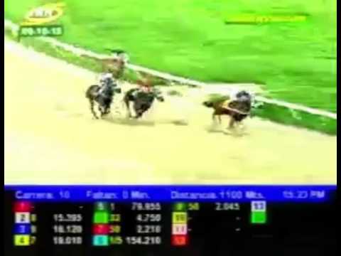 VALENCIA 10 CARRERA, VIERNES 09 DE OCTUBRE DEL 2015