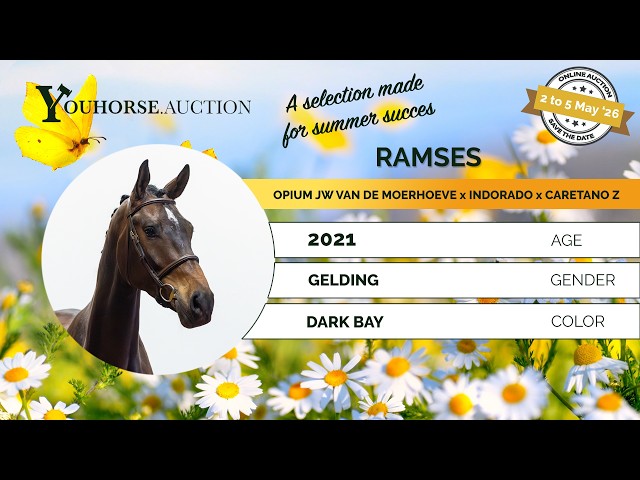 Ramses