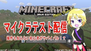 【minecraft】マイクラテスト配信♪初心者がサバイバルで生き残るには…【新人Vtuber爆音チア】