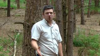 Download lagu Penyerbu di Hutan Kita mp3