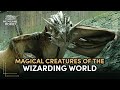 Magical Creatures Of The Wizarding World Discover Harry Potter Ep 9