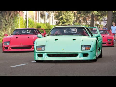 I Bet You've NEVER SEEN Anything like This!