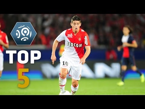Ligue 1 - Top Goals - Week 15 - 2013/2014
