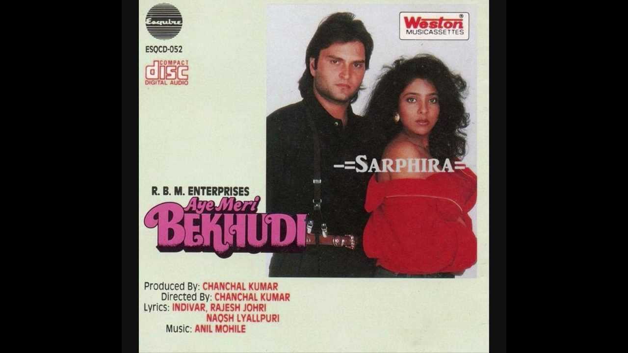 Ho Gaye Zindagi Lyrics  | Aye Meri Bekhudi | Anil Bakshi, Priyanka | Anuradha Paudwal, Suresh Wadkar | Anil Mohile