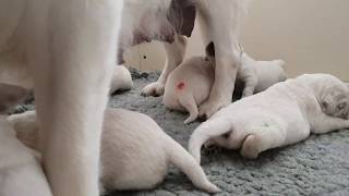 mama!!!