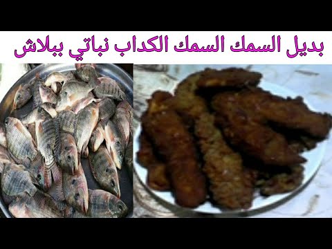 السمك الكداب- صحى وببلاش