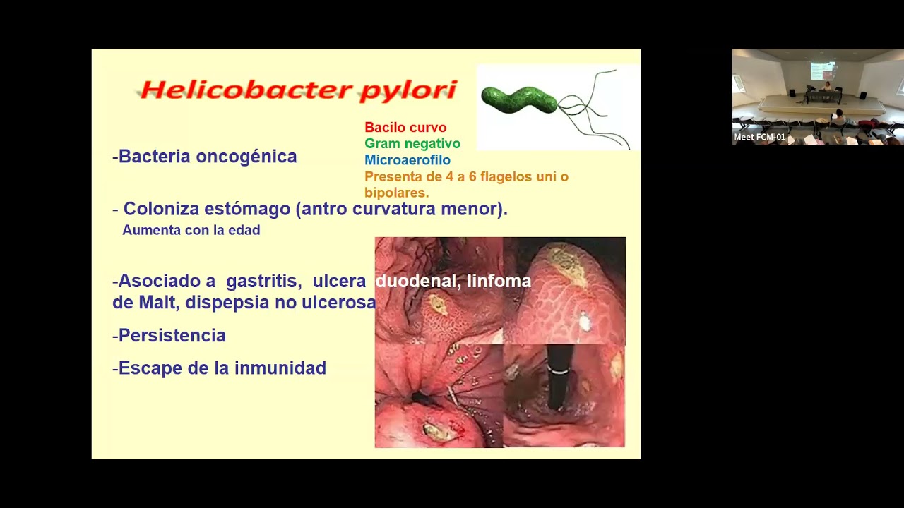 07 - Bacilos Gram negativos curvos, Protozoarios gastrointestinales y genitourinarios
