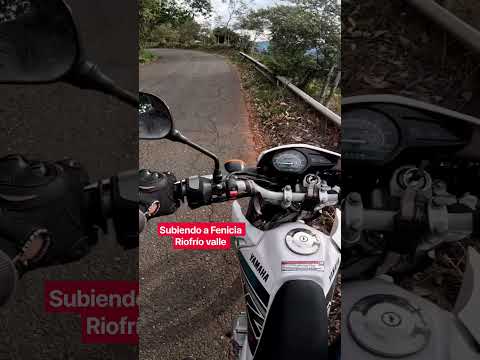 PAISAJES DE FENICIA RIOFRÍO VALLE DEL CAUCA