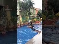 ROMANTIC LOVE SWIMMING POOL COUPLE LOVE KISSING ‍ ️‍ ‍ NEW ROMANTIC SONG WHAT SAPP STATUS 2