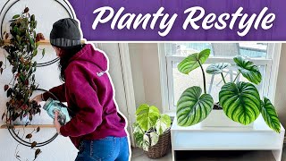 Restyling My Houseplants for a Fresh New Look!
