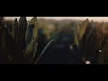 Nonno Andrea L Alba Da Nonno Andrea Agosto 2017 Azienda Agricola Biodiversa
