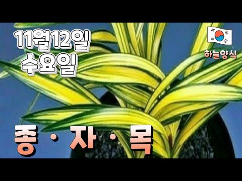 유튜브 썸네일