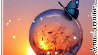 Download lagu What's app status video mp3