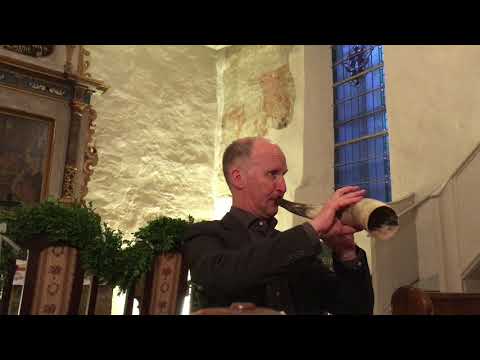 Ich sachz eyns mols den lichtyn morgyn sterne