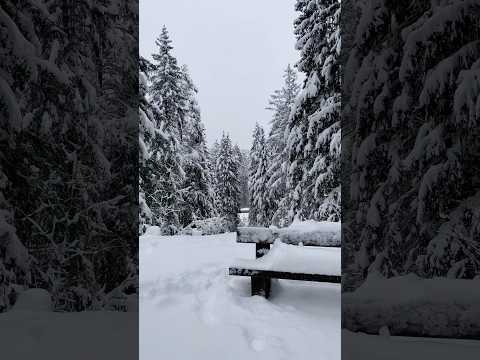 Winter fairytale in Latvia