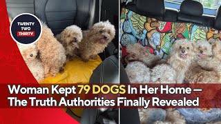 Download lagu Wanita Memelihara 79 Anjing di Rumahnya — Kebenaran Mengejutkan yang Akhirnya Diungkap Pihak Berw... mp3 Download lagu Wanita Memelihara 79 Anjing di Rumahnya — Kebenaran Mengejutkan yang Akhirnya Diungkap Pihak Berw... mp3