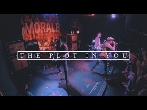 download lagu mp3 mp4 Live Plot, download lagu Live Plot gratis, unduh video klip Live Plot