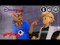Miraculous | #5 Webisode: Nino's Verjaardag | Disney Channel NL