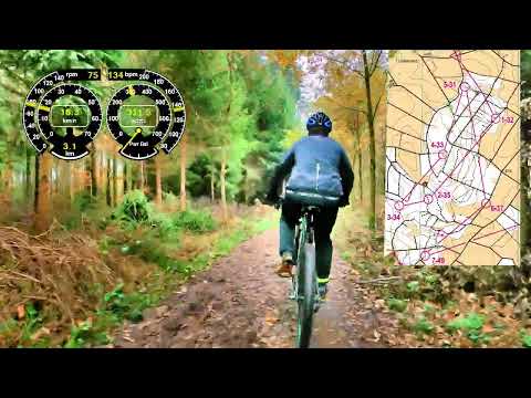 MTBO: Mountainbike-Orienteering Switzerland: Massstart Training Grafenried November 13 2022