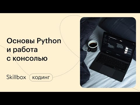 Знакомство с языком Python: популярность, применение, возможности. Интенсив по основам Python