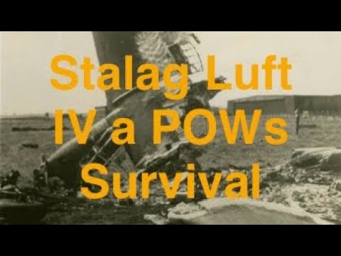 WWII POW Diary: He Survived Stalag Luft IV (Full Story) #worldwar2 #ww2 #POWDiary #POWMIA #history 