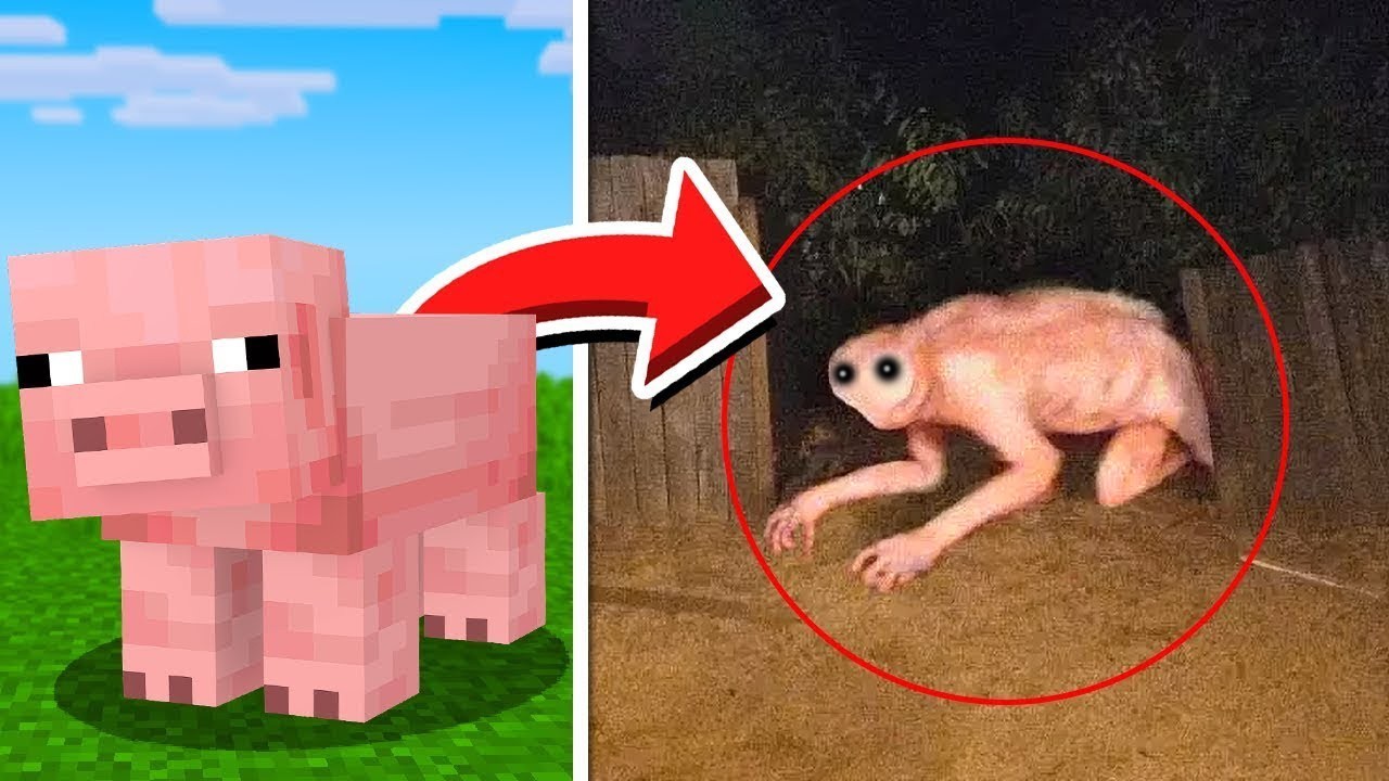 Mobs do Minecraft CAPTURADOS NA VIDA REAL