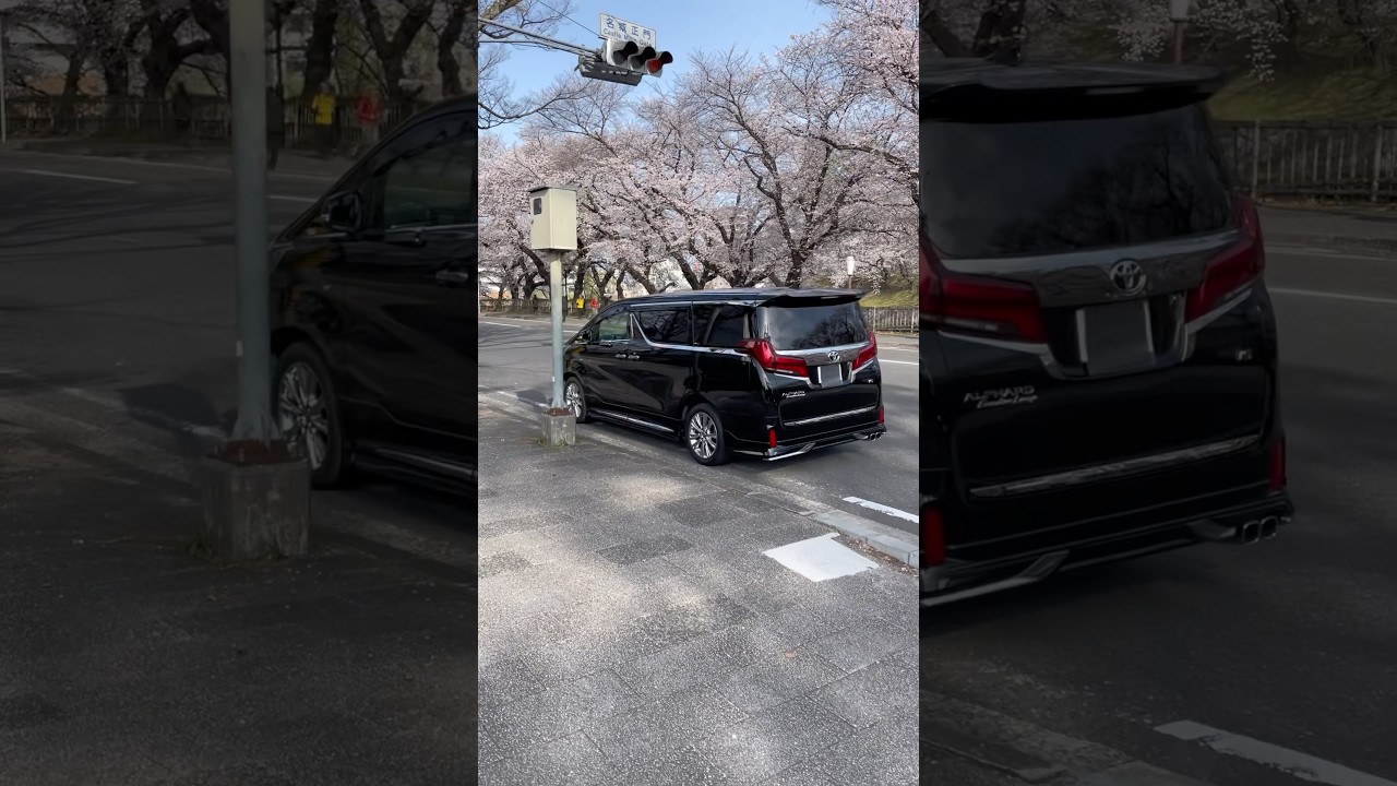 オレのアルファードと桜と名古屋城 short version！#shorts