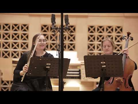 Luboš Sluka: Duettini pro flétnu a violoncello (1995)