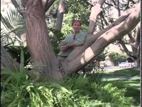 Tequila und Bonetti Folge 02 Bei Liebe Mord (A perfect match)