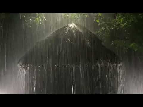 Pioggia Rilassante nella Foresta Nebbiosa per Dormire in 3 Minuti | Rumore della Pioggia e Temporale