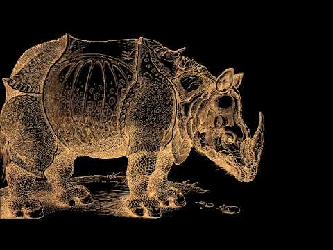 Irinel Anghel (*1969): Rhinoceros (1997)