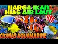 Ikan Hias Laut Di Bogor