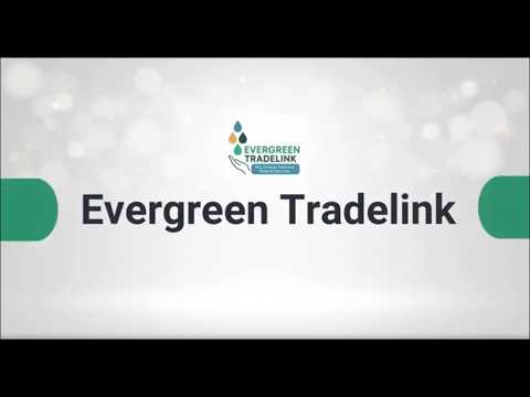 About Evergreen Tradelink