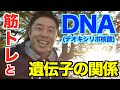 【#40】遺伝情報が詰まったDNAと筋トレの大切な関係とは?今の生活習慣が子や孫の代に遺伝するは本当なのか?についてのお話です。