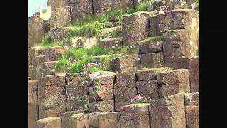 preview picture of video 'Giant's Causeway - Rocks in the Field (1/9)'