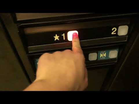 80s Dover/Seelar Oildraulic Elevator- Customs House - Art Museum - Flagship City District - Erie, PA