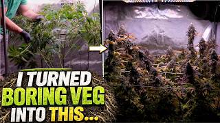 I TURNED A BORING VEG STAGE INTO THIS...