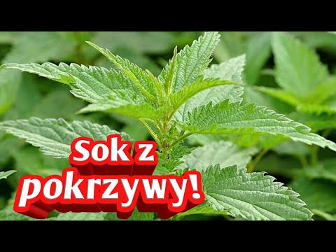 Olej rycynowy i maski do włosów Olej na porost włosów opinii veda-vedica