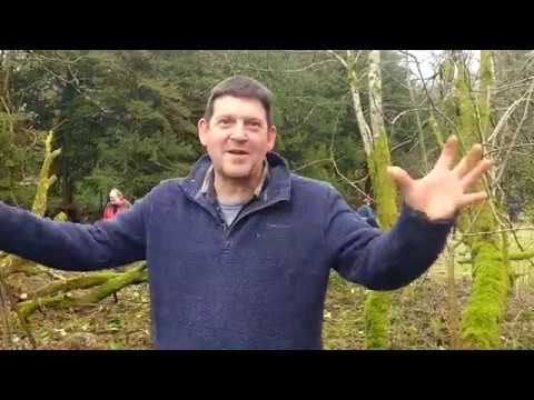 Clearing Rhododendron ponticum at Cally Gardens